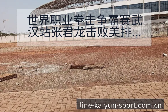 世界职业拳击争霸赛武汉站张君龙击败美排名变化趋势分析 - 开云APP