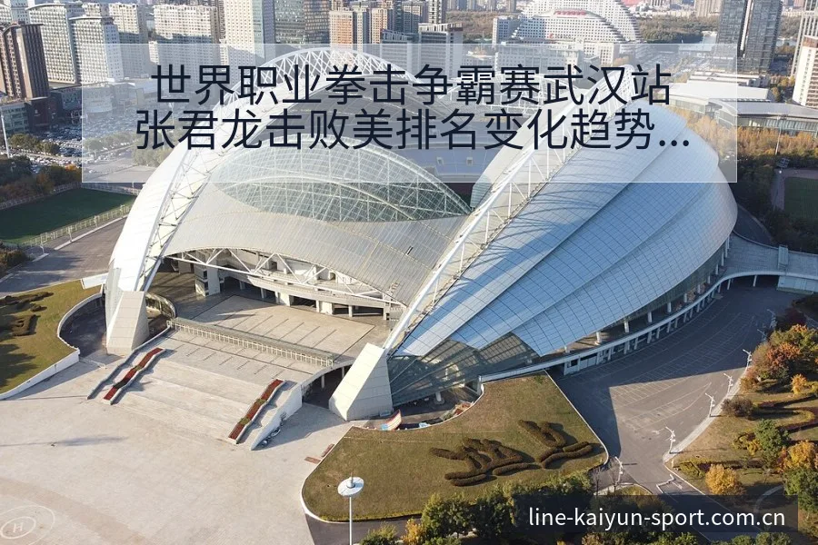 世界职业拳击争霸赛武汉站张君龙击败美排名变化趋势分析 - 开云APP