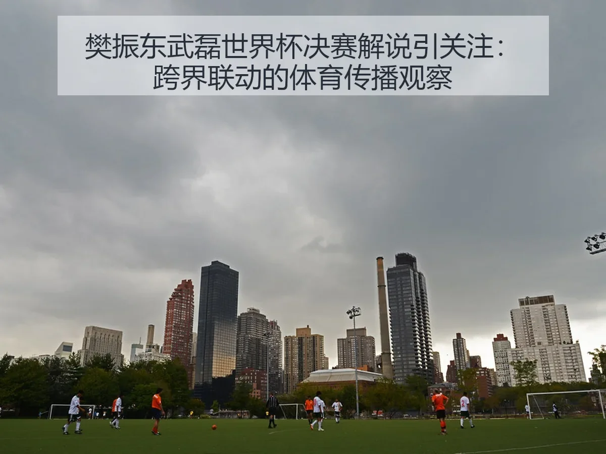 樊振东武磊世界杯决赛解说引关注：跨界联动的体育传播观察