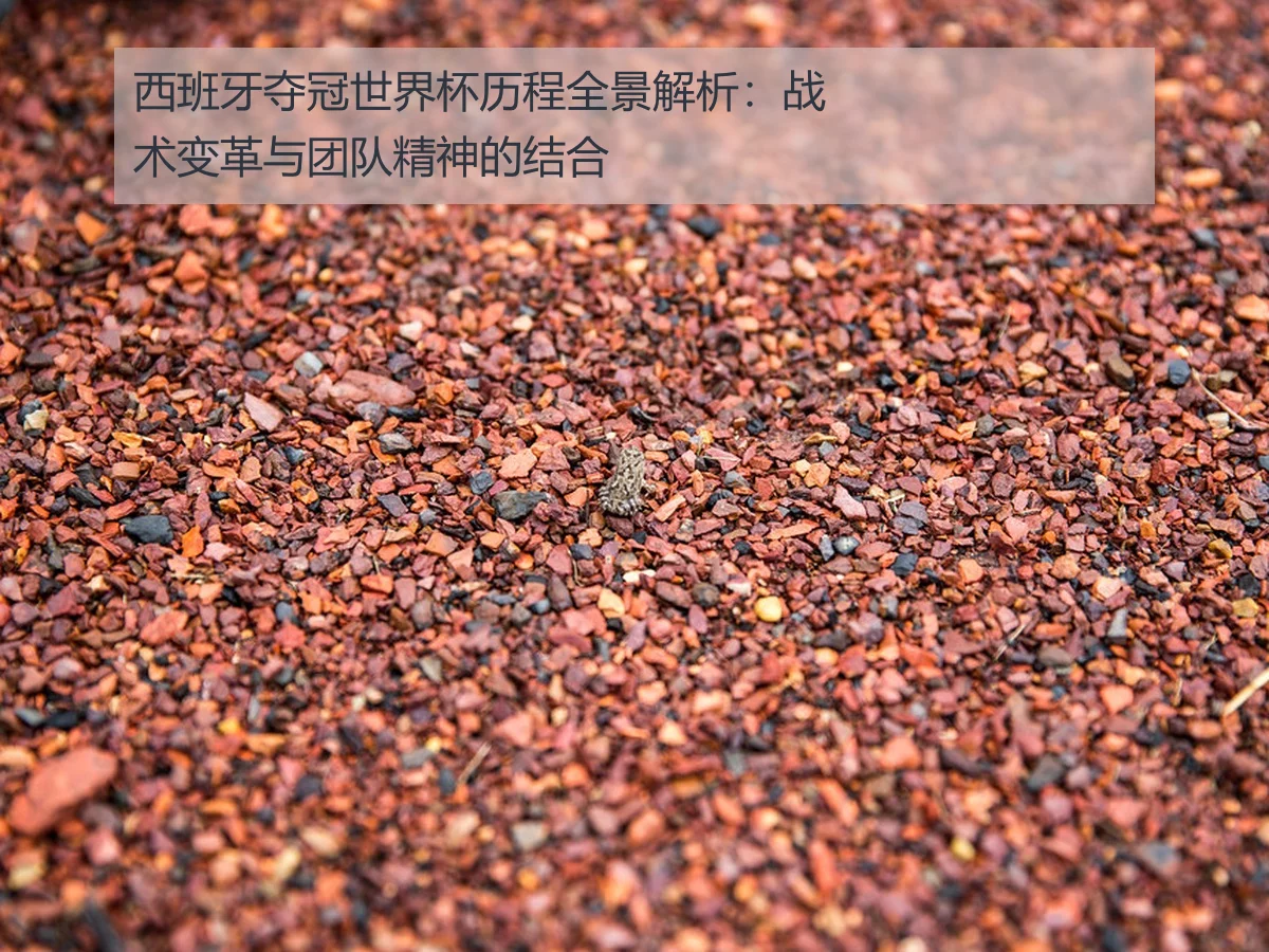 西班牙夺冠世界杯历程全景解析:战术变革与团队精神的结合