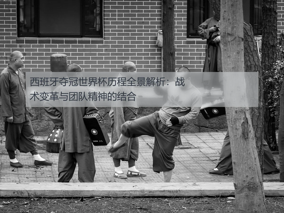 西班牙夺冠世界杯历程全景解析：战术变革与团队精神的结合